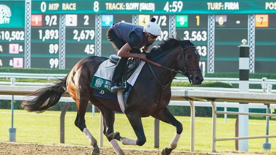 2024 Belmont Stakes picks: Bet on favorite Sierra Leone at Saratoga  (Horse Racing)